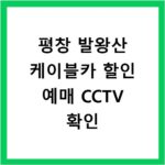 평창 발왕산 케이블카 할인 예매 CCTV 확인