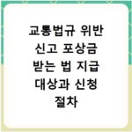 교통법규 위반 신고 포상금 받는 법 지급 대상과 신청 절차 총정리