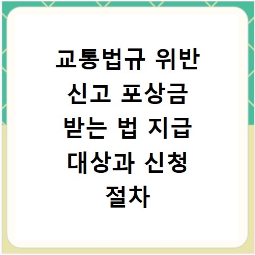 교통법규 위반 신고 포상금 받는 법 지급 대상과 신청 절차 총정리