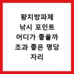 왕지방파제 낚시 포인트 어디가 좋을까 조과 좋은 명당 자리 추천