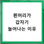 흰머리가 갑자기 늘어나는 이유
