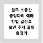 원주 소금산 출렁다리 예매 방법 입장료 할인 주차 꿀팁 총정리