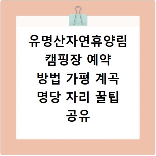 유명산자연휴양림 캠핑장 예약 방법 가평 계곡 명당 자리 꿀팁 공유