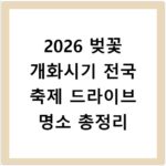 2026 벚꽃 개화시기 전국 축제 드라이브 명소 총정리
