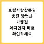 보령사랑상품권 충전 방법과 가맹점 어디인지 바로 확인하세요