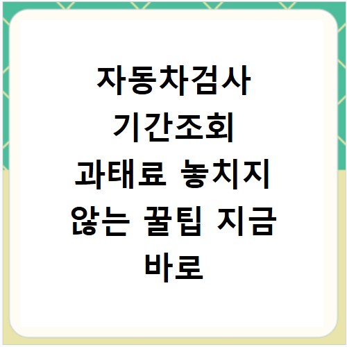 자동차검사 기간조회 과태료 놓치지 않는 꿀팁 지금 바로 확인