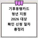 기후동행카드 청년 지원 2026 대상 확인 신청 절차 총정리