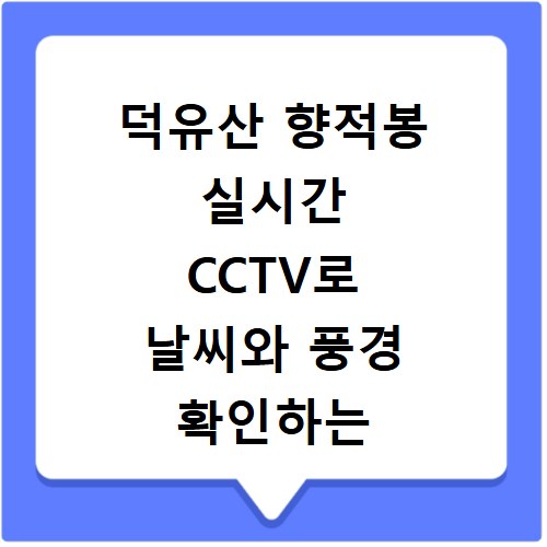 덕유산 향적봉 실시간 CCTV로 날씨와 풍경 확인하는 방법