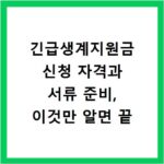 긴급생계지원금 신청 자격과 서류 준비, 이것만 알면 끝