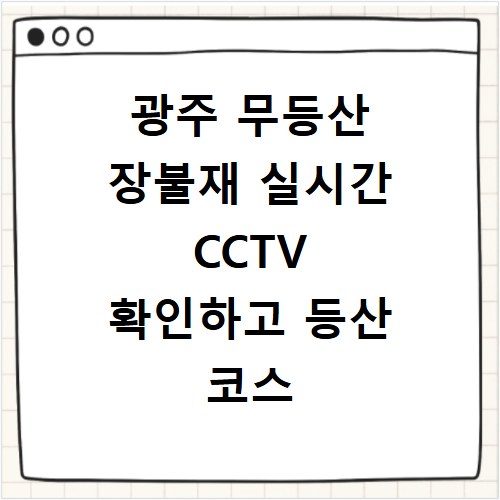 광주 무등산 장불재 실시간 CCTV 확인하고 등산 코스 날씨 미리 체크