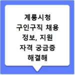 계룡시청 구인구직 채용 정보, 지원 자격 궁금증 해결해 드려요