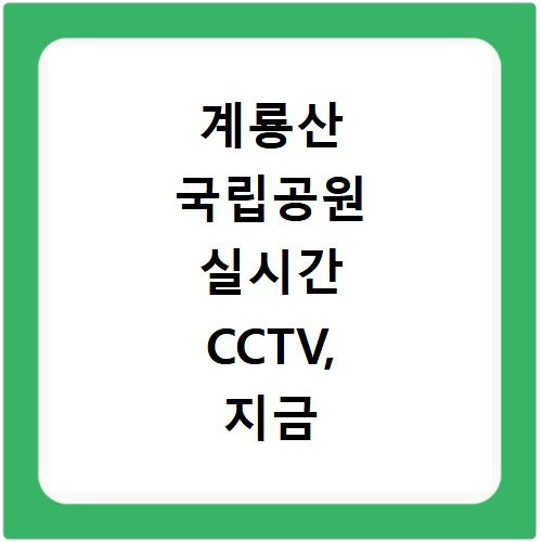 계룡산 국립공원 실시간 CCTV, 지금 바로 확인하는 쉬운 방법
