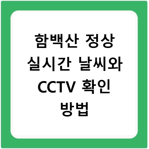 함백산 정상 실시간 날씨와 CCTV 확인 방법