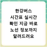 한강버스 시간표 실시간 확인 지금 바로 노선 정보까지 알려드려요