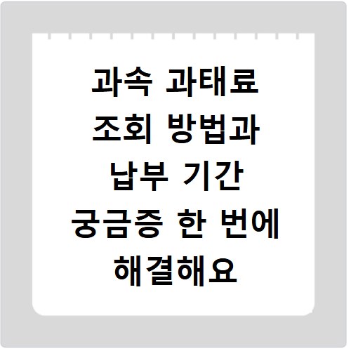 과속 과태료 조회 방법과 납부 기간 궁금증 한 번에 해결해요
