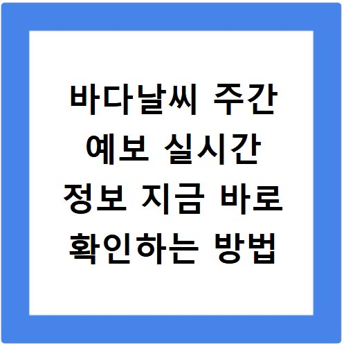 바다날씨 주간 예보 실시간 정보 지금 바로 확인하는 방법