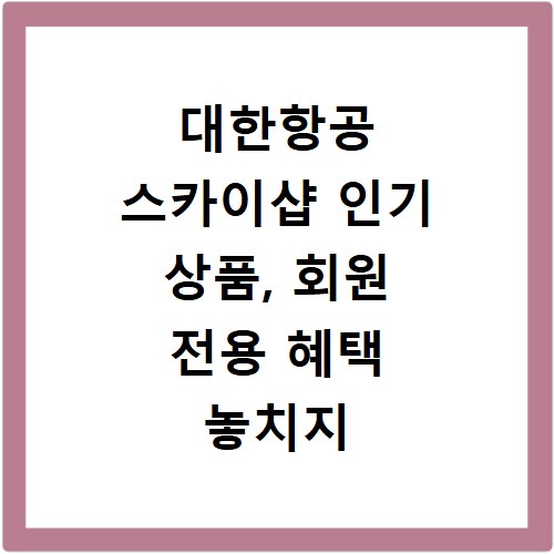 대한항공 스카이샵 인기 상품, 회원 전용 혜택 놓치지 마세요