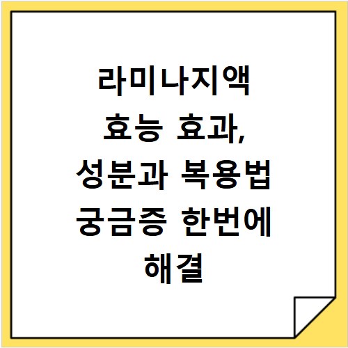 라미나지액 효능 효과, 성분과 복용법 궁금증 한번에 해결