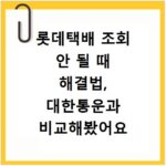 롯데택배 조회 안 될 때 해결법, 대한통운과 비교해봤어요