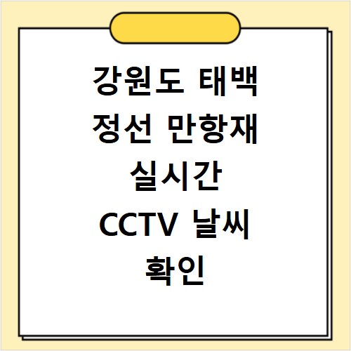 강원도 태백 정선 만항재 실시간 CCTV 날씨 확인 방법