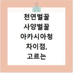 천연벌꿀 사양벌꿀 아카시아청 차이점, 고르는 법과 만드는 법