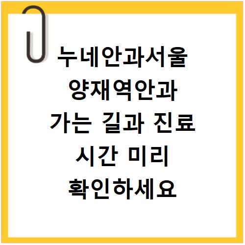 누네안과서울 양재역안과 가는 길과 진료 시간 미리 확인하세요