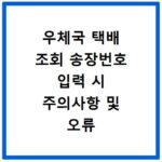우체국 택배 조회 송장번호 입력 시 주의사항 및 오류 해결 방법 확인하기
