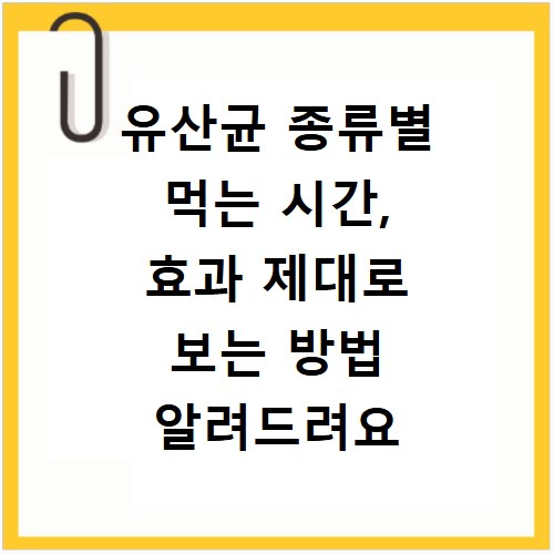 유산균 종류별 먹는 시간, 효과 제대로 보는 방법 알려드려요