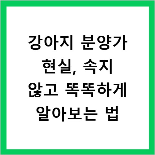 강아지 분양가 현실, 속지 않고 똑똑하게 알아보는 법