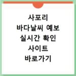 사포리 바다날씨 예보 실시간 확인 사이트 바로가기