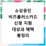 소상공인 비즈플러스카드 신청 지원 대상과 혜택 총정리