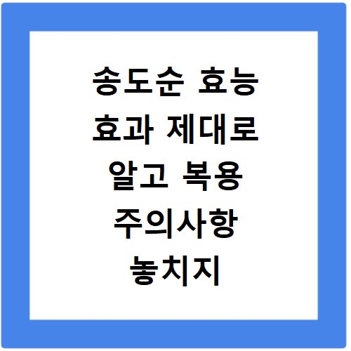송도순 효능 효과 제대로 알고 복용 주의사항 놓치지 마세요