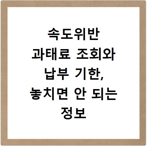 속도위반 과태료 조회와 납부 기한, 놓치면 안 되는 정보