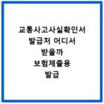 교통사고사실확인서 발급처 어디서 받을까 보험제출용 발급 방법