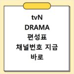 tvN DRAMA 편성표 채널번호 지금 바로 확인하는 쉬운 방법