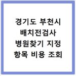 경기도 부천시 배치전검사 병원찾기 지정 항목 비용 조회
