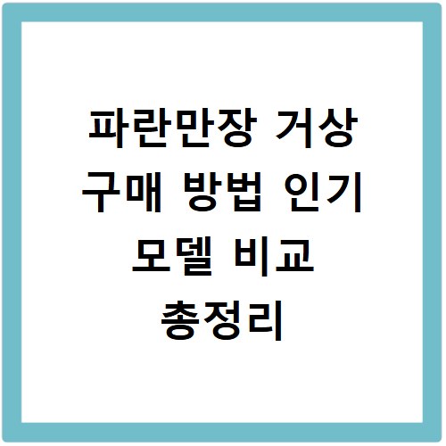 파란만장 거상 구매 방법 인기 모델 비교 총정리