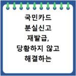 국민카드 분실신고 재발급, 당황하지 않고 해결하는 방법