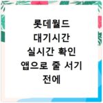롯데월드 대기시간 실시간 확인 앱으로 줄 서기 전에 꼭 보세요