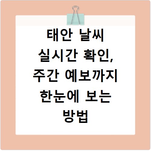 태안 날씨 실시간 확인, 주간 예보까지 한눈에 보는 방법