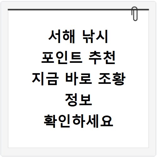 서해 낚시 포인트 추천 지금 바로 조황 정보 확인하세요