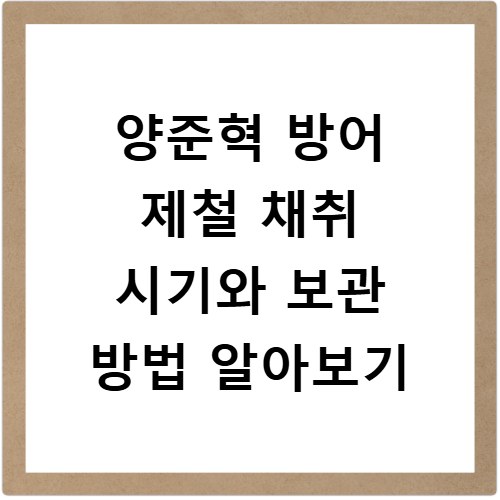 양준혁 방어 제철 채취 시기와 보관 방법 알아보기