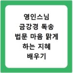 영인스님 금강경 독송 법문 마음 맑게 하는 지혜 배우기